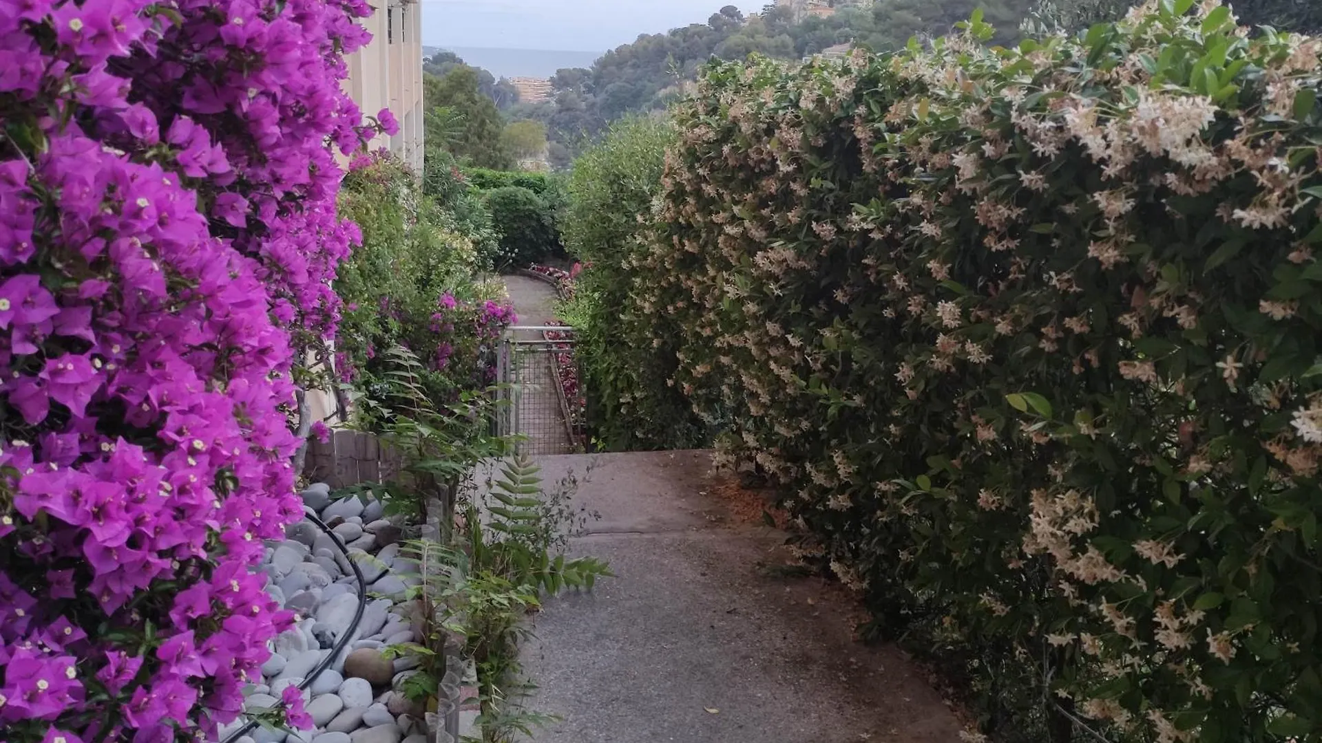 4- Rooms Appartement In Nice Parking F4 0*,  France